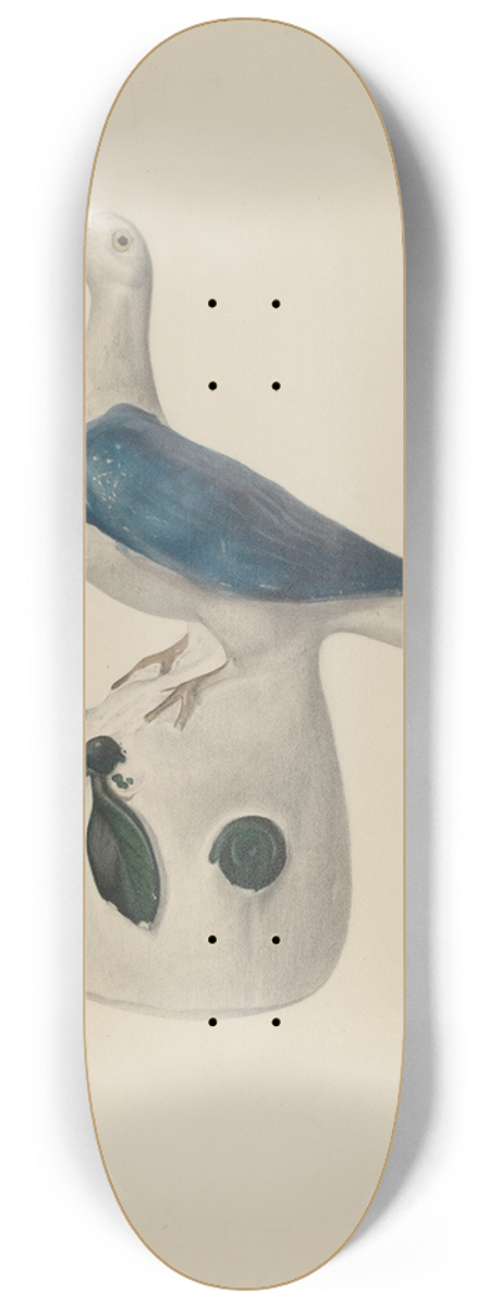 Emanuel Jacobson - Bank Pidgeon 8.25 inch art skate deck