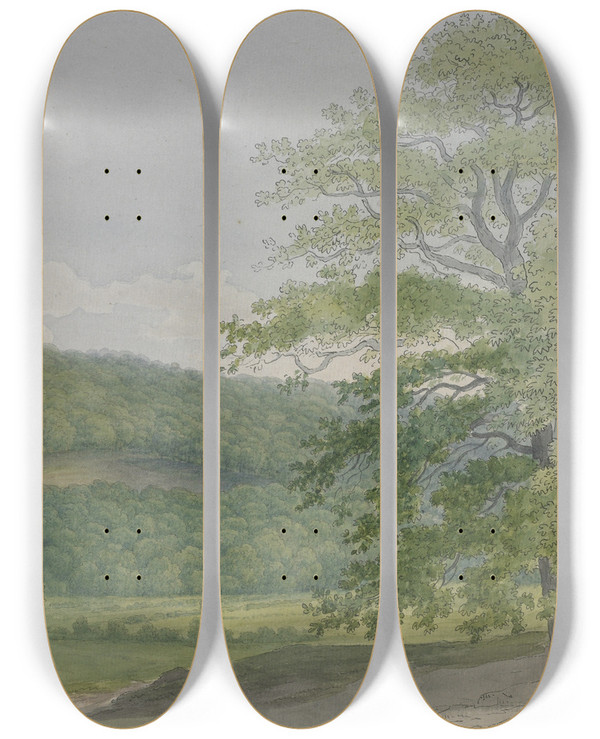 Triptych art skateboard deck of John Abbott Wooded Landscape by John Abbot