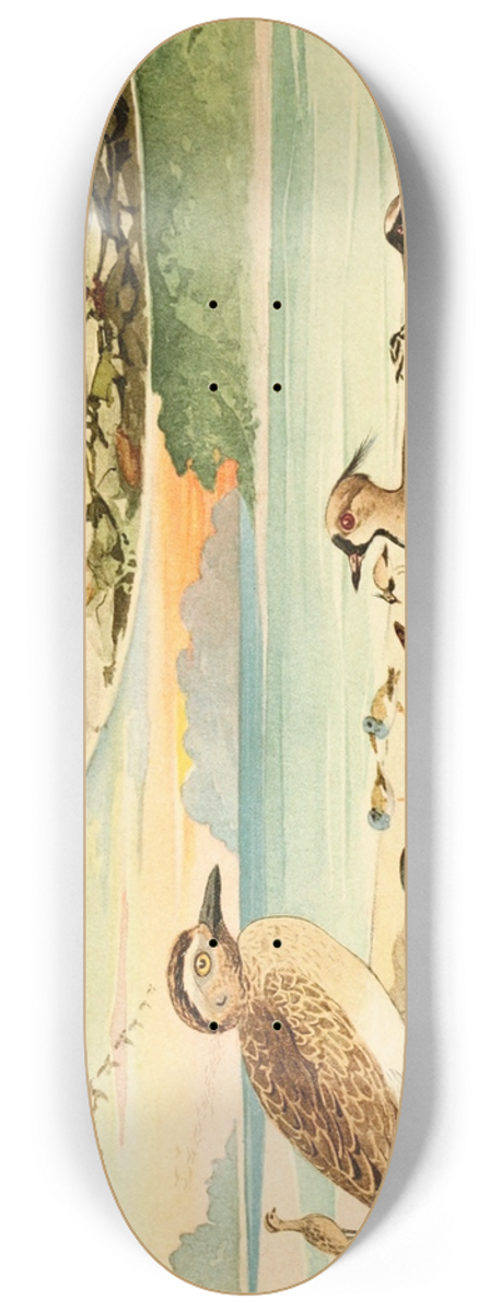 Emil August Gldi - Tu-tu, Pir-pir, Massaricos 8.25 inch art skate deck