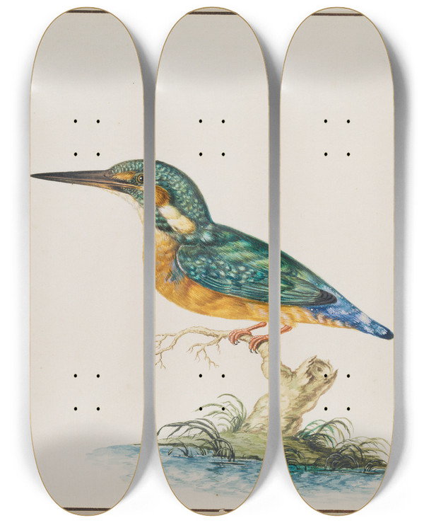 Triptych art skateboard deck of Johann Ludwig Ernst Morgenstern A Kingfisher by Johann Ludwig Ernst Morgenstern (1738-1819)
