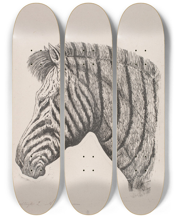 Triptych art skateboard deck of Alexander Blom Hoved Af En Zebra_2 by Alexander Blom (1859-1933)