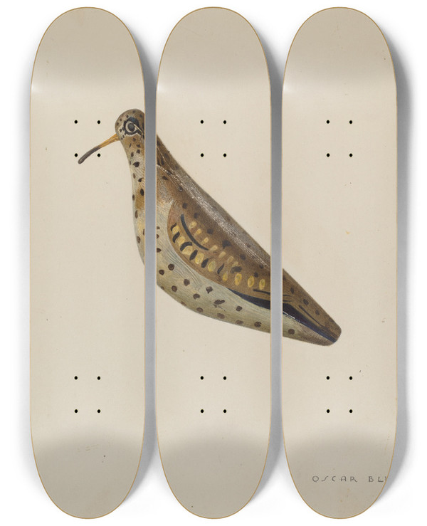 Triptych art skateboard deck of Oscar Bluhme Decoy by Oscar Bluhme