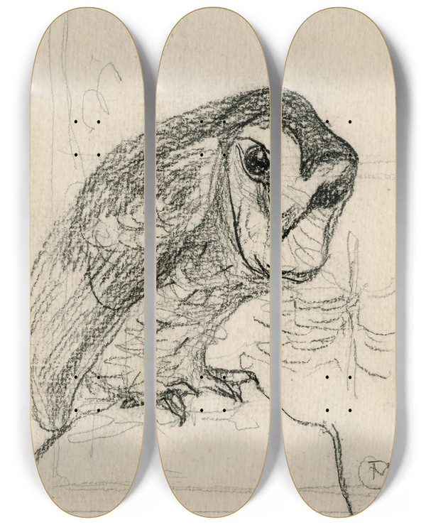 Triptych art skateboard deck of Theo Van Hoytema Een Kleine Uil by Theo Van Hoytema (1863-1917)