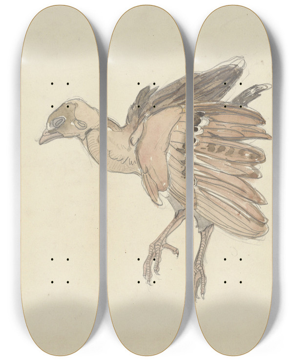 Triptych art skateboard deck of Theo Van Hoytema Dood Vogeltje_1 by Theo Van Hoytema (1863-1917)