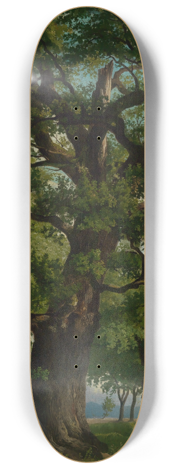 Emil Lugo - Eiche 8.25 inch art skate deck