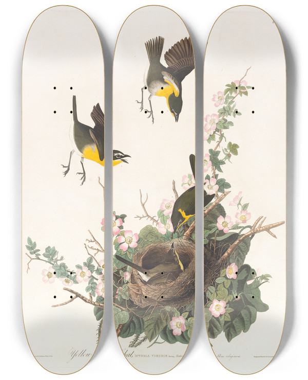 Triptych art skateboard deck of John James Audubon Yellowbreasted Chat by John James Audubon (1785-1851)