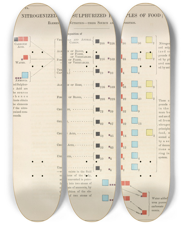 Triptych art skateboard deck of Edward Livingston Youmans Plate Ix Nitrogenized And Sulphurized Principles Of Food by Edward Livingston Youmans (1821-1887)