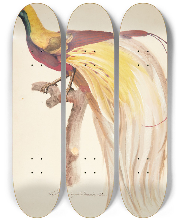 Triptych art skateboard deck of Johan Christian Ernst Walter Eksotisk Fugl_8 by Johan Christian Ernst Walter