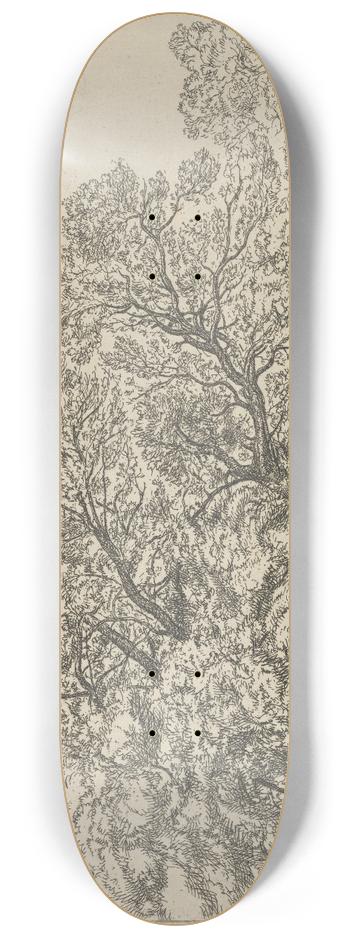 Ernest Haskell - Alna Willows 8.25 inch art skate deck