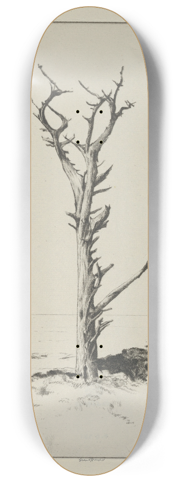 Ernest Haskell - Solitude 8.25 inch art skate deck