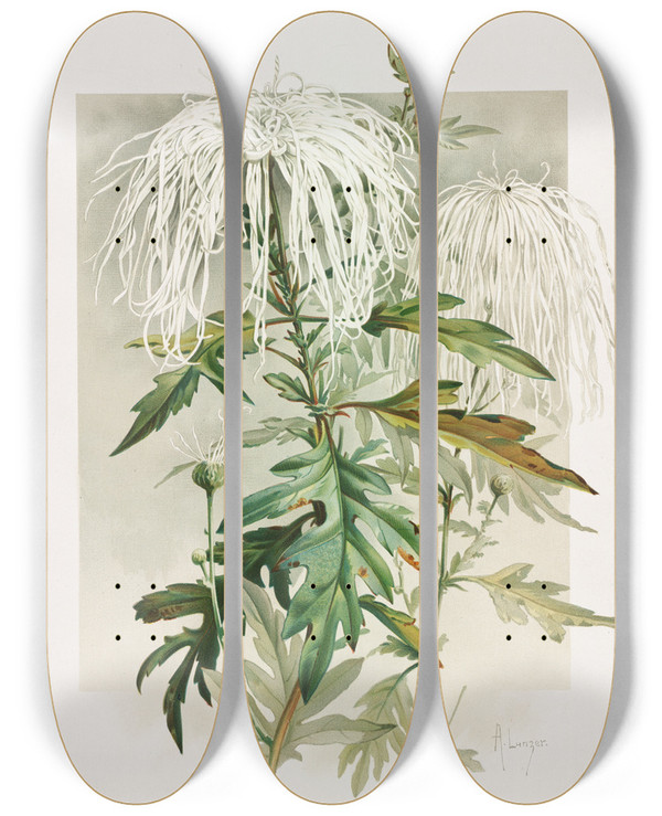 Triptych art skateboard deck of Alois Lunzer Medusa Chrysanthemum by Alois Lunzer (1840)