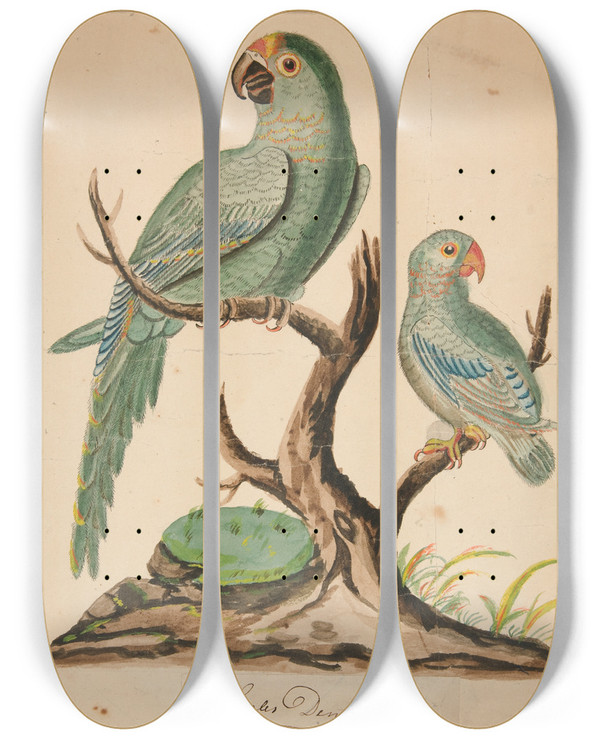 Triptych art skateboard deck of Charles Demuth Two Parrots On A Barrentree by Charles Demuth (1883-1935)