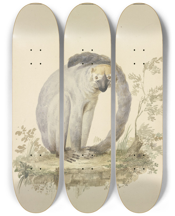Triptych art skateboard deck of Tako Hajo Jelgersma Eine Meerkatze by Tako Hajo Jelgersma (1702-1795)