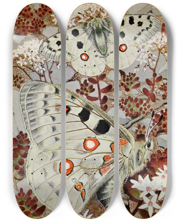 Triptych art skateboard deck of Paulandre Robert Lappollon by Paul-Andre Robert (1901-1977)