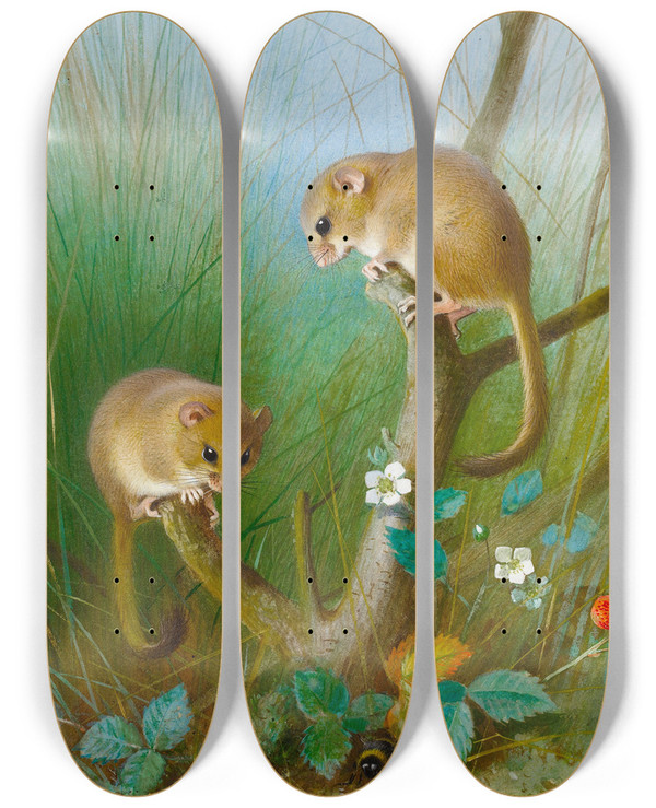 Triptych art skateboard deck of Archibald Thorburn Dormice by Archibald Thorburn (1860-1935)