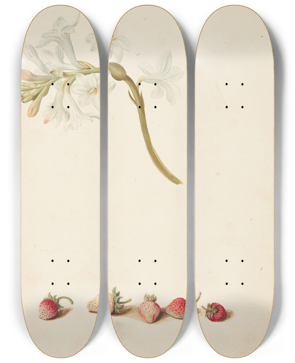 Triptych art skateboard deck of Johanna Fosie Studie Af Blomst Og Jordbr by Johanna Fosie (1726-1764)