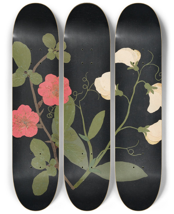 Triptych art skateboard deck of Ellen W Album Of Cutpaper Flowers Pl19 by Ellen W (19-)