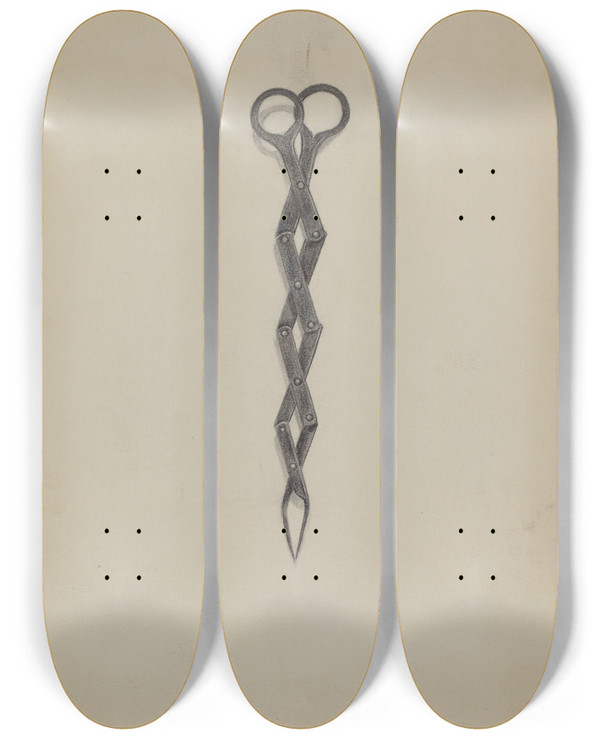 Triptych art skateboard deck of Richard Schoene Tongs by Richard Schoene