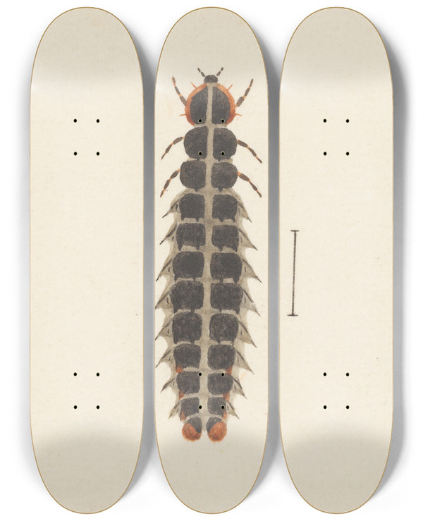 Triptych art skateboard deck of George Hudson Entomology Watercolour Pl010 by George Hudson (1867-1946)