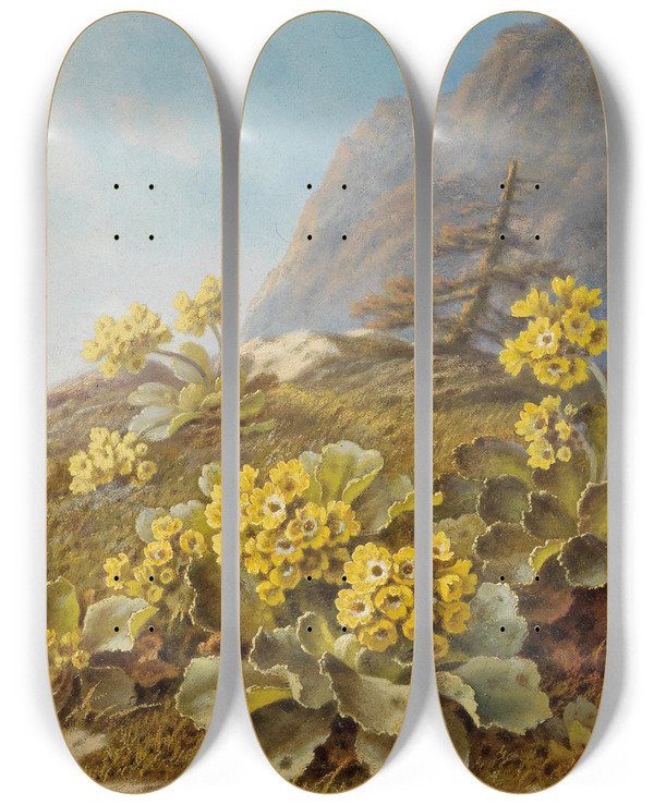 Triptych art skateboard deck of Pauline Halmflechner Primula Auricula Cowslips by Pauline Halm-Flechner (1842-1921)