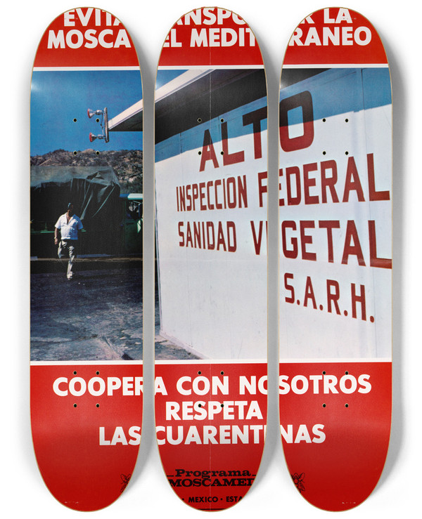 Triptych art skateboard deck of Us Information Agency Evita Transportar La Mosca Mediterraneo by U S Information Agency (1953-1999)
