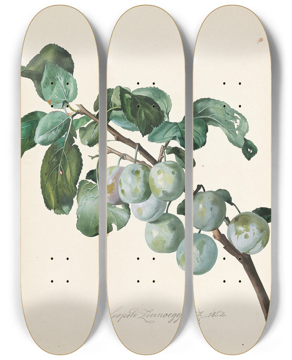 Triptych art skateboard deck of Leopold Zinngger Ringlottenzweig by Leopold Zinnogger (1811-1872)