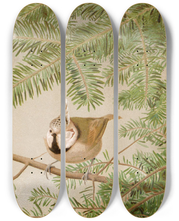 Triptych art skateboard deck of Lopaul Robert Msange Huppe by Leo Paul Robert (1851-1923)