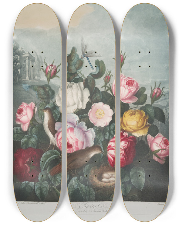 Triptych art skateboard deck of Robert John Thornton Roses by Robert John Thornton (1768-1837)