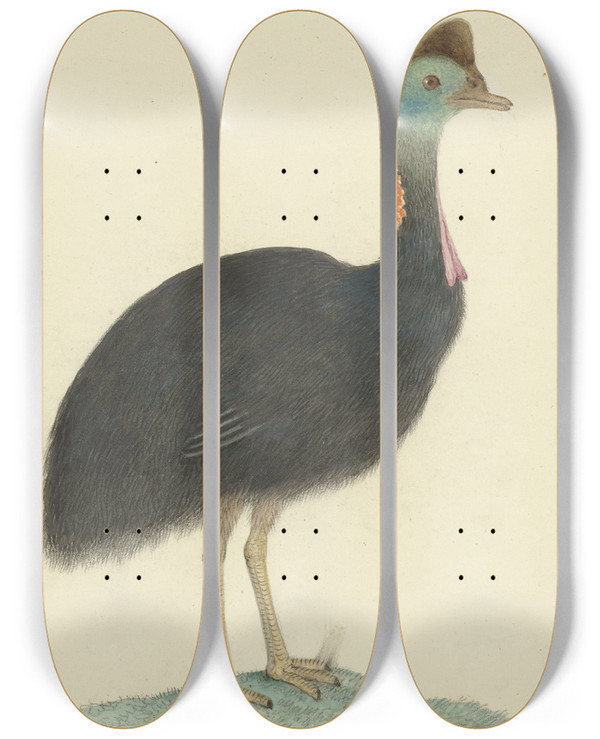 Triptych art skateboard deck of Isaac Van Haastert Kasuaris by Isaac Van Haastert (1753-1834)