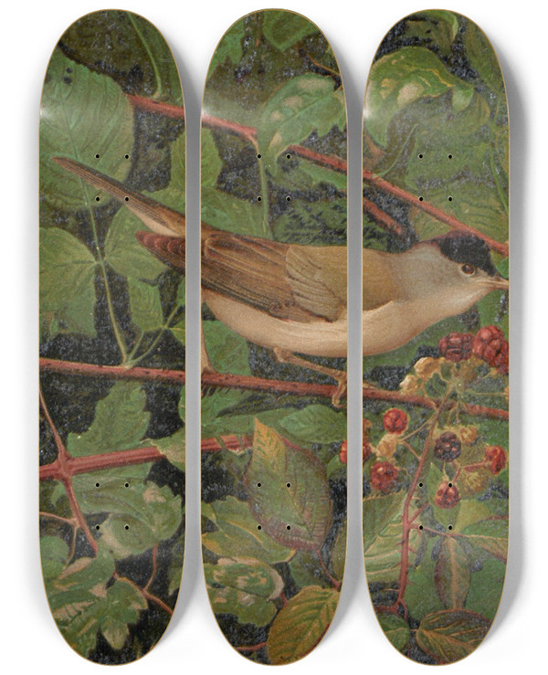 Triptych art skateboard deck of Lopaul Robert Fauvette A Tte Noire by Leo Paul Robert (1851-1923)