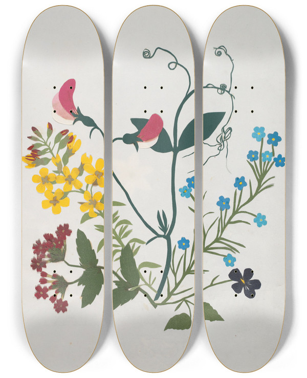 Triptych art skateboard deck of Ellen W Album Of Cutpaper Flowers Pl01 by Ellen W (19-)