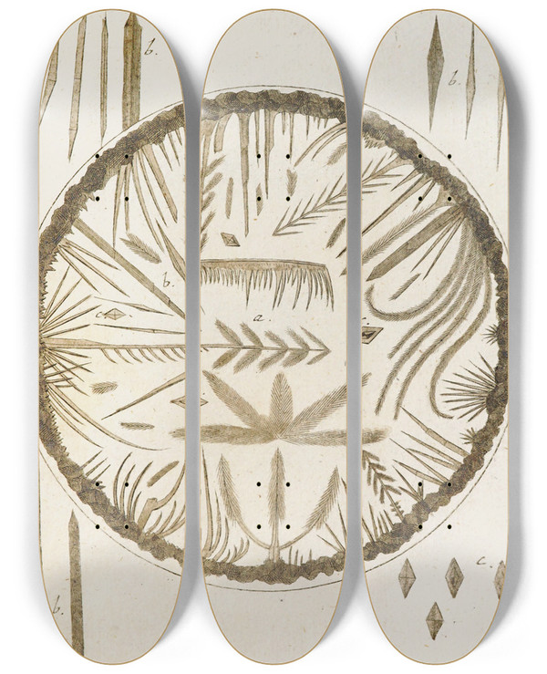 Triptych art skateboard deck of Martin Frobenius Ledermuller Amusement Microscopique Tant Pour Lesprit Que Pour Les Yeux Pl069 by Martin Frobenius Ledermu%Cc%88Ller (1719-1769)