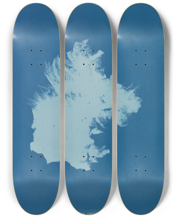 Triptych art skateboard deck of Anna Atkins Zygnema Curvatum by Anna Atkins (1799-1871)