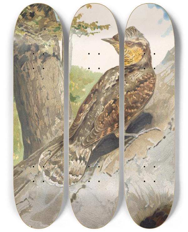 Triptych art skateboard deck of Lopaul Robert Torcol by Leo Paul Robert (1851-1923)