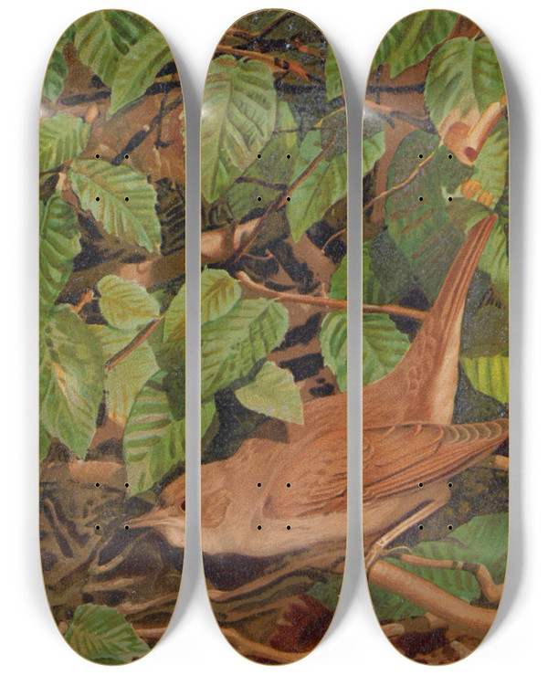 Triptych art skateboard deck of Lopaul Robert Rossignol by Leo Paul Robert (1851-1923)