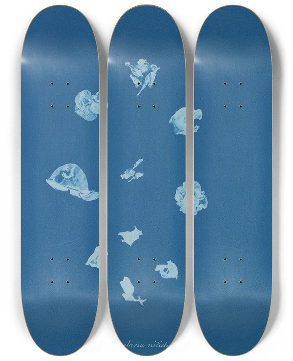 Triptych art skateboard deck of Anna Atkins Rivularia Nitida by Anna Atkins (1799-1871)