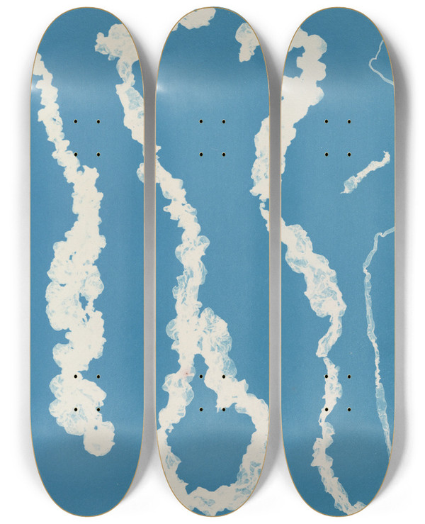 Triptych art skateboard deck of Anna Atkins Enteromorpha Intestinalis_1 by Anna Atkins (1799-1871)