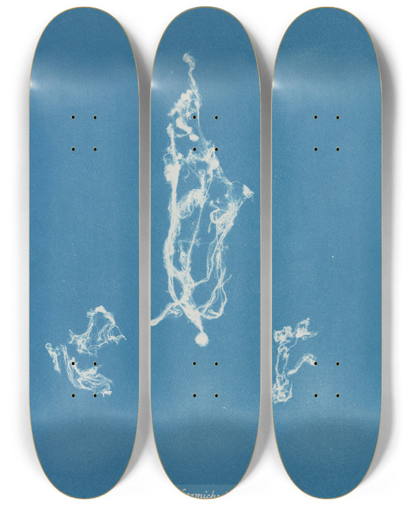 Triptych art skateboard deck of Anna Atkins Lyngbya Carmichaelii by Anna Atkins (1799-1871)