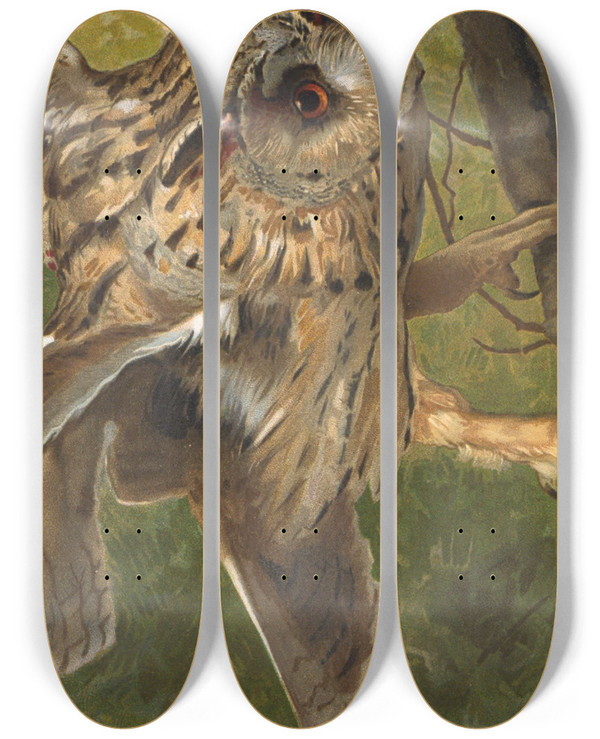 Triptych art skateboard deck of Lopaul Robert Hibou by Leo Paul Robert (1851-1923)