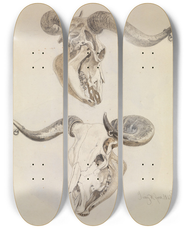 Triptych art skateboard deck of Ferdinand Keller Zwei Studien Eines Stierschdels by Ferdinand Keller (1842-1922)
