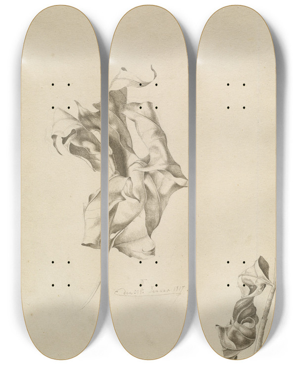 Triptych art skateboard deck of Friedrich Von Olivier Shriveled Leaves by Friedrich Von Olivier (1791-1859)