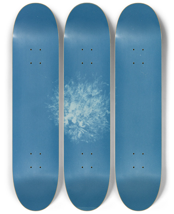 Triptych art skateboard deck of Anna Atkins Callithamnion Roseum by Anna Atkins (1799-1871)