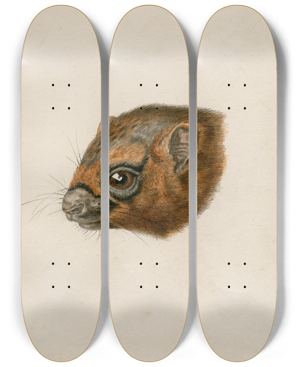 Triptych art skateboard deck of Floris Verster Head Of A Polecat by Floris Verster (1861-1927)