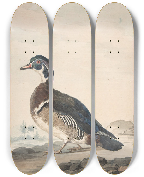 Triptych art skateboard deck of Aert Schouman A Duck by Aert Schouman (1710-1792)