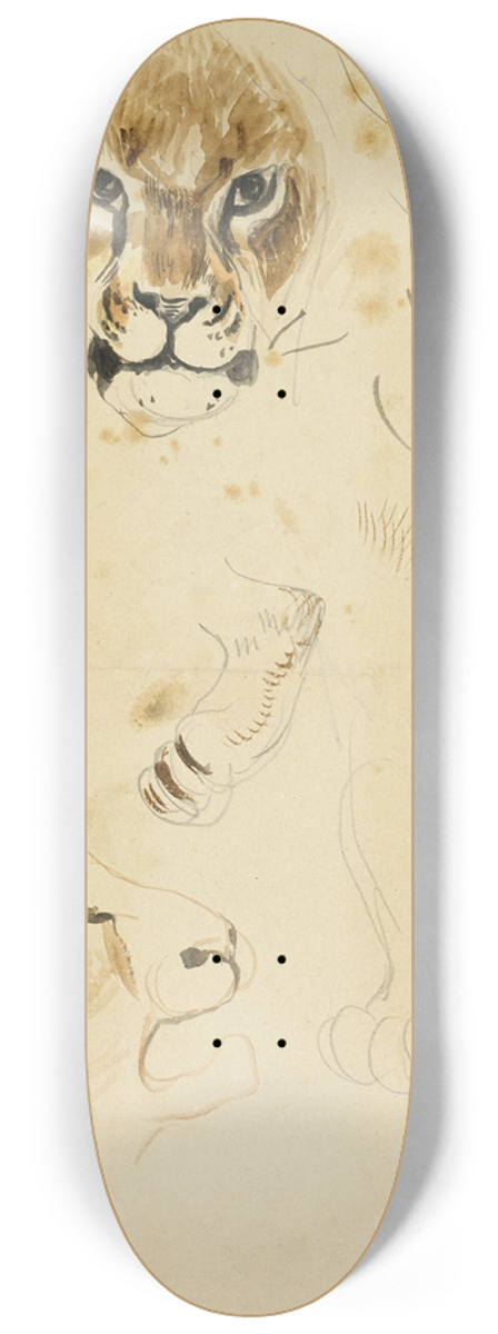 Eugne Delacroix - Heads and Paws of Lions 8.25 inch art skate deck