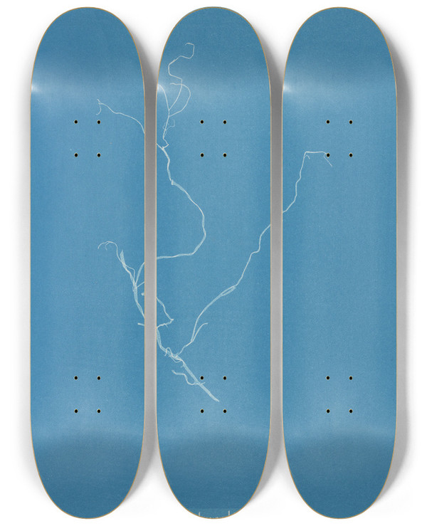 Triptych art skateboard deck of Anna Atkins Sporochnus Rhizodes Paradoxa by Anna Atkins (1799-1871)