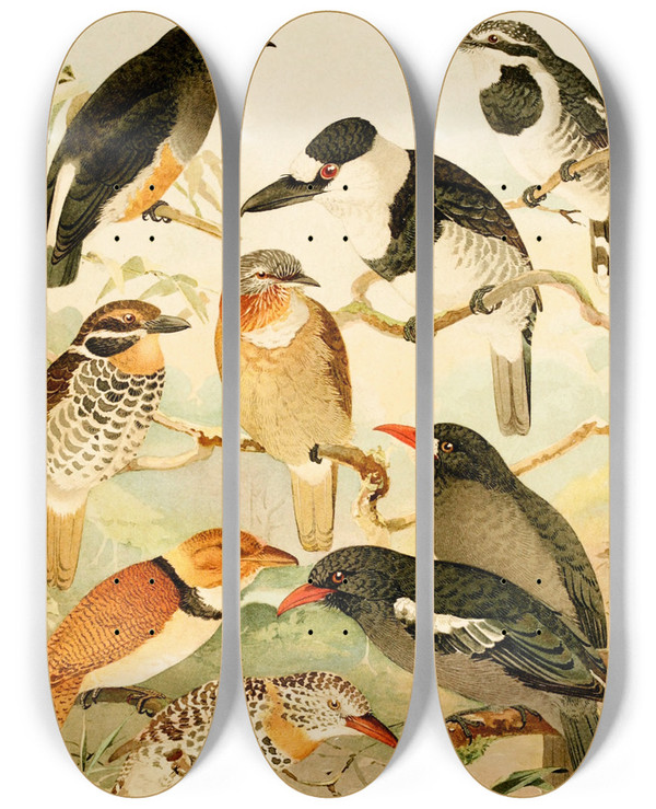 Triptych art skateboard deck of Emil August Gldi Macurs Tangurpara by Emil August Goldi (1859-1917)