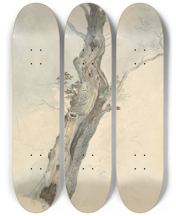 Triptych art skateboard deck of Robert Hills Tree Study_1 by Robert Hills (1769-1844)