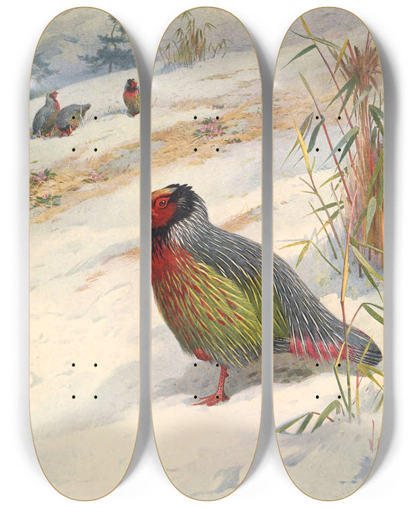 Triptych art skateboard deck of Archibald Thorburn Kusers Blood Partridge by Archibald Thorburn (1860-1935)