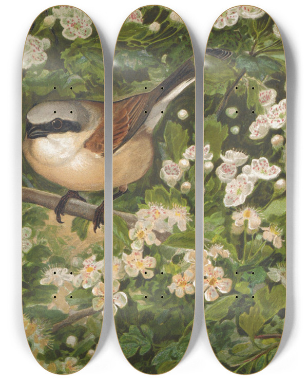 Triptych art skateboard deck of Lopaul Robert Pie Griche by Leo Paul Robert (1851-1923)